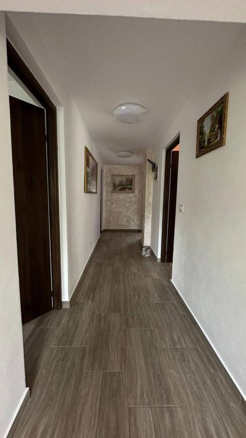 Casa M&M Apartamento Vişeu de Sus Exterior foto