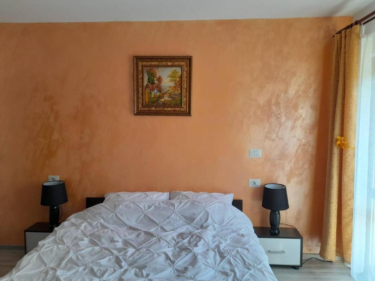 Casa M&M Apartamento Vişeu de Sus Exterior foto